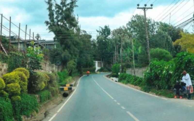 Why Kerarapon Is Emerging as a Cheaper Alternative to Karen