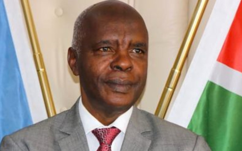 Kivutha Kibwana Commends Faith Odhiambo for Resigning from Compensation Panel