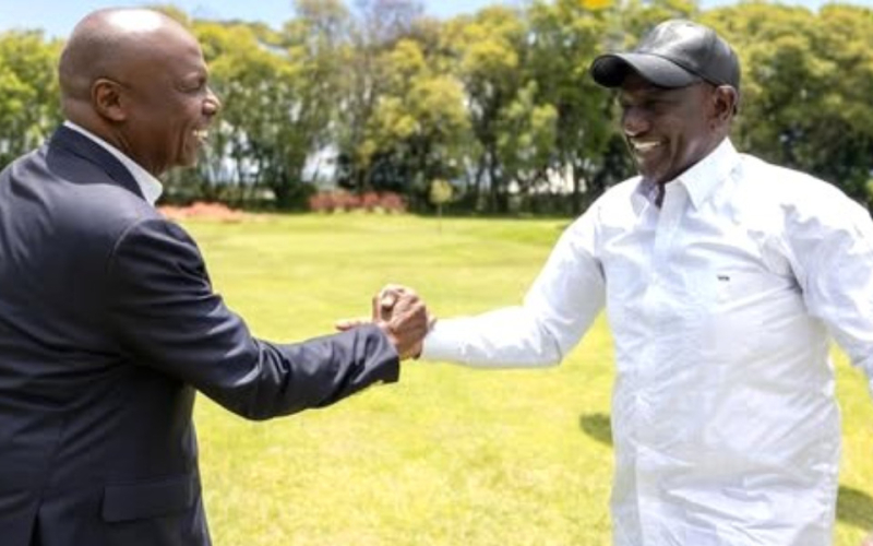 Kanu Joins Kenya Kwanza as Gideon Moi Bows Out of Baringo Race