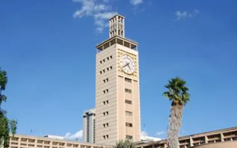 Kenyans in diaspora Seek Own MPs, Senators and Online Voting for 2027