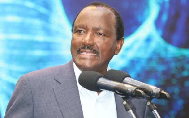 ‘An Education Mess’: Kalonzo Slams KJEA Results Amid Public Outcry