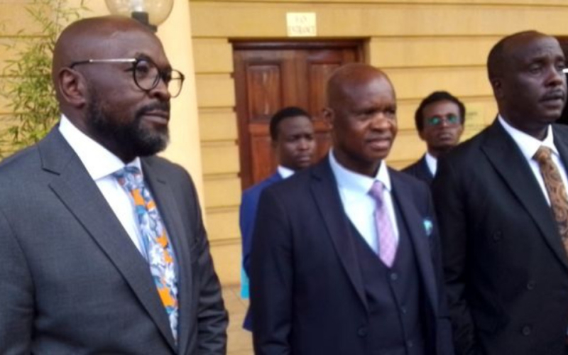 Embu Senator Opposes DP Expulsion Over Support for UDA's Wamuthende in Mbeere North