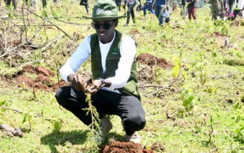 Kenyan Environmentalist Targets World Record with 24,000 Trees in 24 Hours