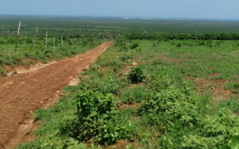 Developers Accused of Making Millions from Scamming Diaspora