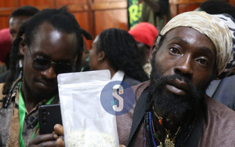 We Were Stopped from Bringing Cannabis Seeds in Court, Rastafarians Claim