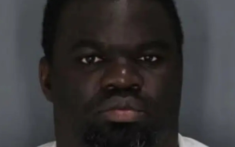 Kenyan Auditor Pleads Guilty to $405,000 Embezzlement in New York