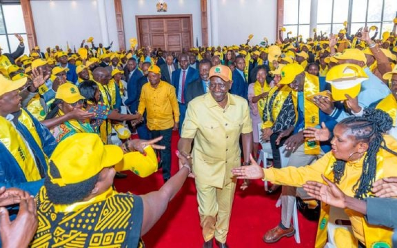 Lawyer Moves to Court to Stop UDA Political Meetings at State House