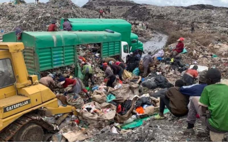 Court Awards Compensation to Dandora Waste Pickers Over Rights Violations
