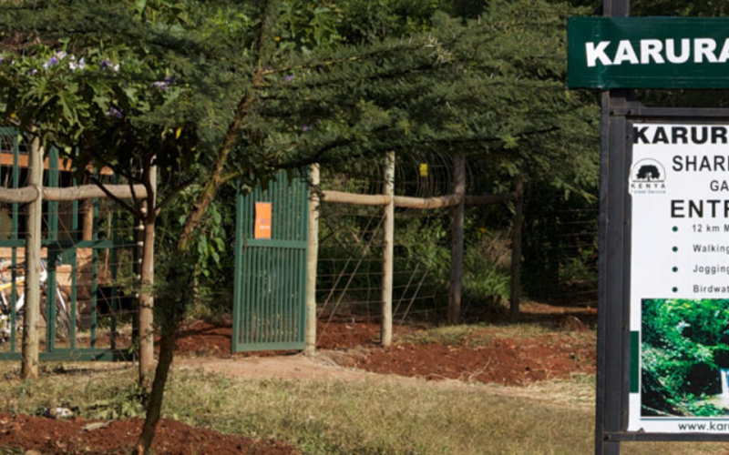 Why the Government Is Clearing 3 Acres of Karura Forest