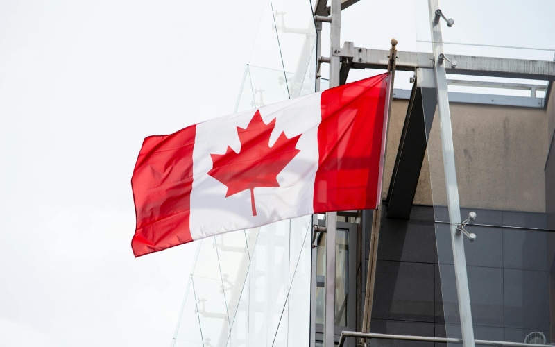 Kenyan Professionals in Canada: Navigating Global Developments and Opportunities