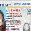 US Fully Implements Real ID Act, Restricting Undocumented Immigrants' Travel