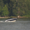 Individual Dies After Being Pulled from Lake Washington