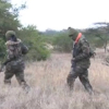 ‘Huyu amekata’: Shocking Testimony Links KWS Officers to Missing Fisherman