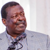 Mudavadi Warns Diaspora: Respect Foreign Laws and Mind Your Online Presence