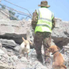 Anguish as Two Guards Remain Missing After South C Collapse 