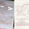 Kenya to Allow Online Download and Printing of Birth Certificates via eCitizen