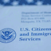 Trump Govt Eyes Revoking Citizenship of 250+ Immigrants in FY26