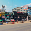Mystery Deaths of 11 Cats and Dogs Spark Poisoning Fears in Utawala Estate