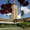 MPs Fault Foreign Affairs Ministry Over Silence on Kenyan Woman's Death in Australia