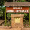KWS to Relocate Nairobi Animal Orphanage from Nairobi National Park