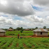 Why More African Retirees Are Choosing Cities Over Rural Homes