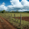 When a Title Deed Is No Longer Enough to Protect Your Land in Kenya