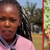 How Kenyan Student Makes KSh 2,000 Per Hour Picking Fruits in British Farms