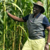 Ruto: Even My Maize Was Wiped Out by Drought