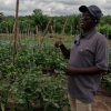 How a Kenyan Entrepreneur Turned Farming in Nigeria Into a Multi-Million Naira Venture