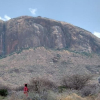 Ecuador Intelligence Chief and Miami Business Leaders Killed in Samburu Crash