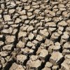 Record Dry Conditions Fuel Severe Drought in Wales, Sparking Global Water Concerns