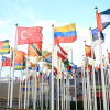 Surge in Solar Panel Sales Reflects Global Shift Towards Renewable Energy