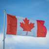 Kenyan Professionals in Canada Respond to Recent Immigration Trends and Challenges