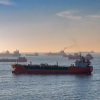 Strait of Hormuz Coalition Proposal Sparks Debate Among Gulf States