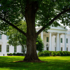 White House Convenes Tech Giants to Tackle AI Safety Amid Cybersecurity Concerns
