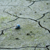 Global Leaders Meet to Address Climate Change Amid Increasing Urgency