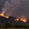 California Declares Emergency as Toxic Leak Threatens Communities