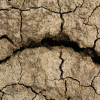 Severe Drought in the UK Raises Global Concerns Over Water Scarcity