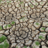 Climate Change Intensifies Extremes: Western Europe Shatters Temperature Records