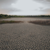Europe's Record Heatwave Exposes Severe Climate Vulnerabilities