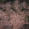 Record Heatwave in UK Sparks Global Concerns Over Climate Change Impacts