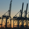 Pressure Mounts on Port of Rotterdam to Accelerate Green Transition