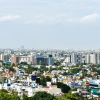 India's 'Cockroach' Movement Galvanizes Call for Government Accountability