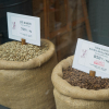 Coffee Prices Surge Globally as Poor Harvests in Brazil and Vietnam Hit Markets