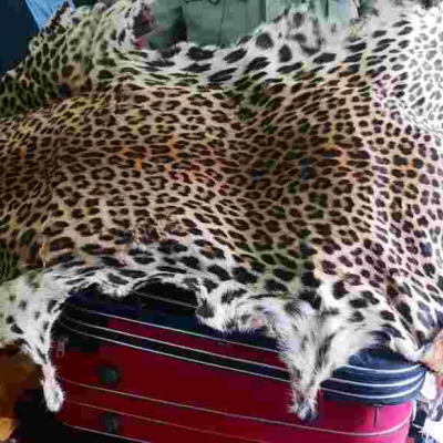 Three Chinese Nationals Arrested in Nairobi with Large Quantities of Dog Meat