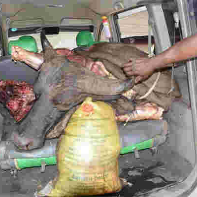 Three Busted with 200Kgs of Buffalo Meat Destined for Nairobi’s Burma Market