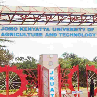 None of Our Degrees Have Been Recalled, JKUAT VC Prof. Victoria Ngumi Says