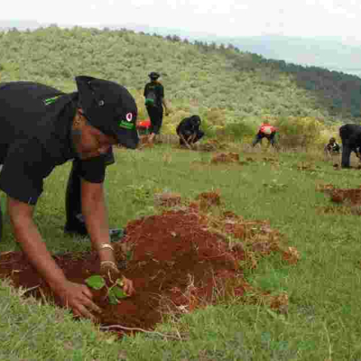 Safaricom Pledges to Plant Five Million Trees
