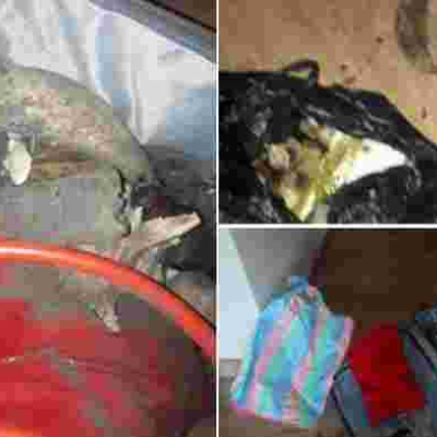 Three People Arrested for Conning Nairobi Couple Out of Sh2 Million While Posing as Witchdoctors