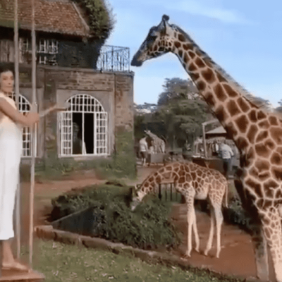 Kenyans Online React as Foreign Tourist Fails to Acknowledge Nairobi is in Kenya
